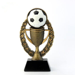 Custom Resin Engraved Football Awards